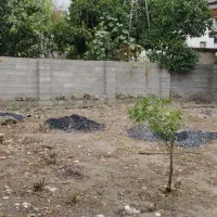 زمین مسکونی با ویوی فوق‌العاده و سند تک‌برگ|فروش زمین و ملک کلنگی|ماسال, |دیوار