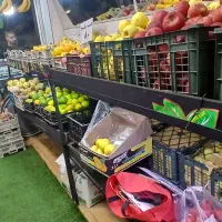 استند میوه فروشی