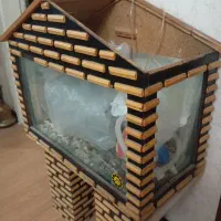 آکواریوم|ماهیگیری|پرند, فاز ۵|دیوار