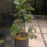 4عدد گلدان سایز بزرگ