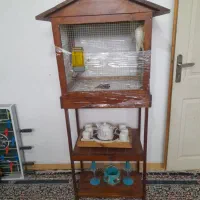 فروش یا معاوضه|پرنده|کرمان, |دیوار