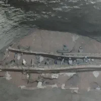 کبوتر مسافتی