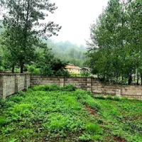 زمین ۲۴۰ متری پلاک یک جنگل