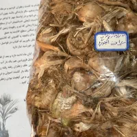 پیاز زعفران قائنات درجه یک|گل و گیاه طبیعی|کرج, گلستان|دیوار