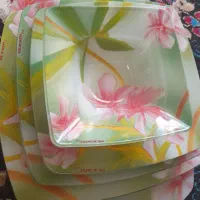 ارکوپال شیشه ای