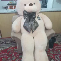 خرس دو متری کرمی بزرگ