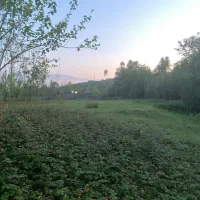 ویلا۳۸۰متری سراوان رشت جاده تهران