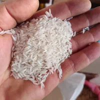 برنج هاشمی دره رود