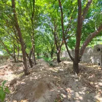 400 متر باغ مشجر / پیشک 1 / فنس کشی شده /چسب بافت