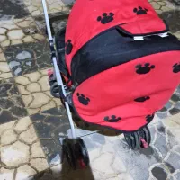 کالسکه|کالسکه و لوازم جانبی|قوچان, |دیوار