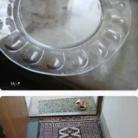 ظروف|ظروف سرو و پذیرایی|ساری, |دیوار