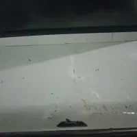 پیکان فروشی مدل۸۲|خودرو سواری و وانت|رشتخوار, |دیوار