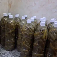 خیارشورهمدان ویژه سوپرویژه نول ممتاز|عمده‌فروشی|قم, قلعه کامکار|دیوار