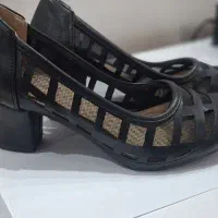 کفش مجلسی