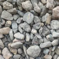 بذر لوبیا سبز دستگیری
