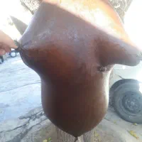 هیزه|ظروف نگهدارنده، پلاستیکی، یکبارمصرف|کرمانشاه, |دیوار