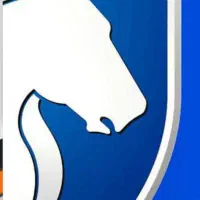 مشاور حواله