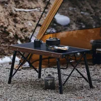 میز مسافرتی لوکس