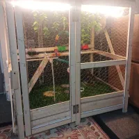 قفس|لوازم جانبی حیوانات|اراک, |دیوار