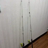 لنسر دوتیکه با موتور