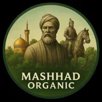 قارچ یال شیر ، شاه صدف ،شیتاکه