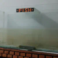 آکواریوم بزرگ