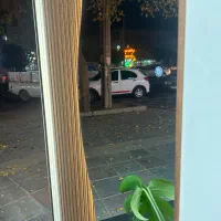 گیاهان مصنوعی و کربن وال سبز و رنگی|گل مصنوعی|صفادشت, |دیوار