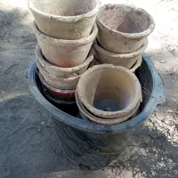 فروش تعدادی گلدان سفالی|گل و گیاه طبیعی|بیرجند, |دیوار