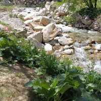 فروش باغ ۱۸۰متری ده بالا