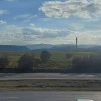 زمین گشاورزی|فروش زمین و ملک کلنگی|چگنی, |دیوار