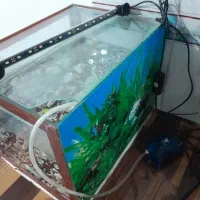 آکواریوم با لوازم