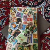آلبوم تمر ‌قدیمی