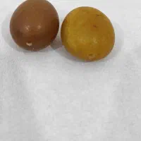 مهره سنگ چرب شیرین|کلکسیون اشیاء عتیقه|کارون, |دیوار