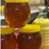 عسل طبیعی به شرط ازمایش  ورب انار پاوه کردستان