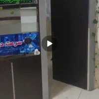 پارتیشن جنس درجه ۱