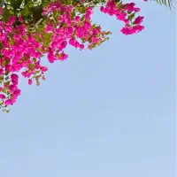 وام مهربانی