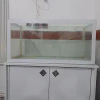 یک عدد آکواریوم در حد نو