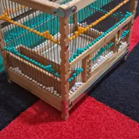 قفس|لوازم جانبی حیوانات|ملارد, |دیوار