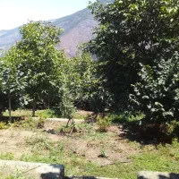 ویلا وباغ  ۱۶۰۰ سنددار ویو ابدی مرزن اباد