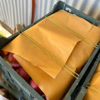 فروش سیب قرمز درجه ۱ و۲