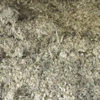 ذرت علوفه|لوازم جانبی حیوانات|نوشین شهر, |دیوار