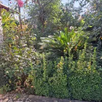 ویلا داخل شهرک ساحلی فول مبله|اجارهٔ خانه و ویلا|رویان, |دیوار