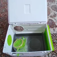 لانه عروس هلندی