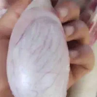 دنبلان تازه گوسفندی