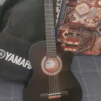 گیتار c40 اصلی