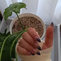 کاشت ناخن|خدمات آرایشگری و زیبایی|بم, |دیوار