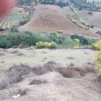 جذب کار آفرین در زمینه کشاورزی و دام وطیور|استخدام صنعتی، فنی، مهندسی|توتکابن, |دیوار