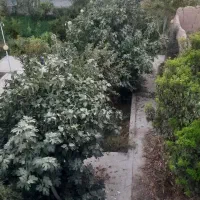 باغ ویلا وبوم گردی