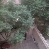 رهن آپارتمان ۶۵ متری ۱ خوابه طبقه ۲ در میرزائی|اجارهٔ آپارتمان|قرچک, میرزائی شمالی|دیوار
