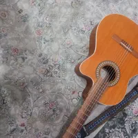 گیتار پارسی M5 کات وی خاص